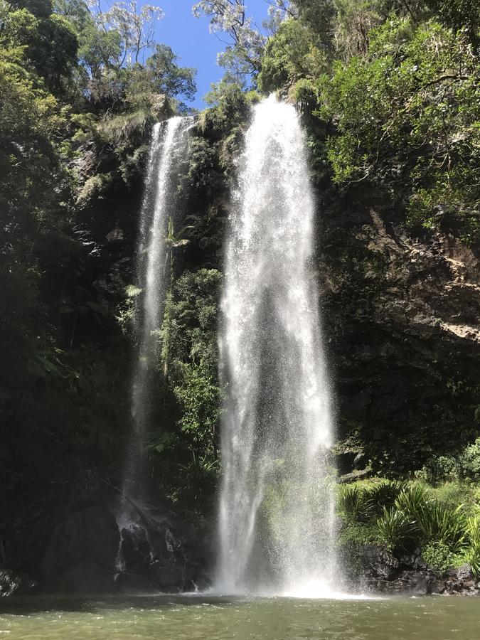 Purling Brook Falls Gwongorella Springbrook Exterior foto