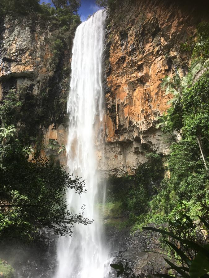 Purling Brook Falls Gwongorella Springbrook Exterior foto